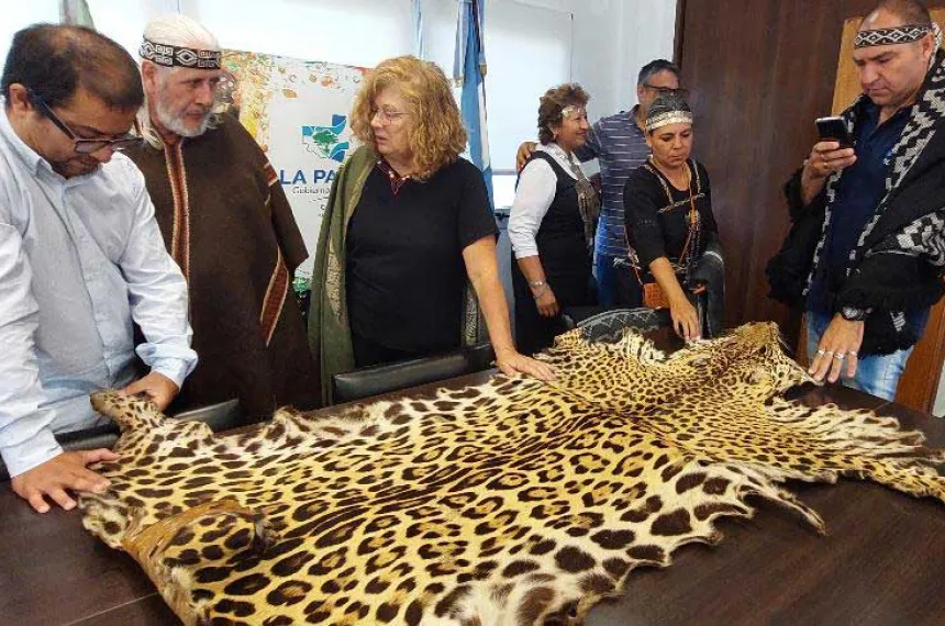 Entregaron Una Piel De Yaguaret Al Museo Natural De La Provincia El