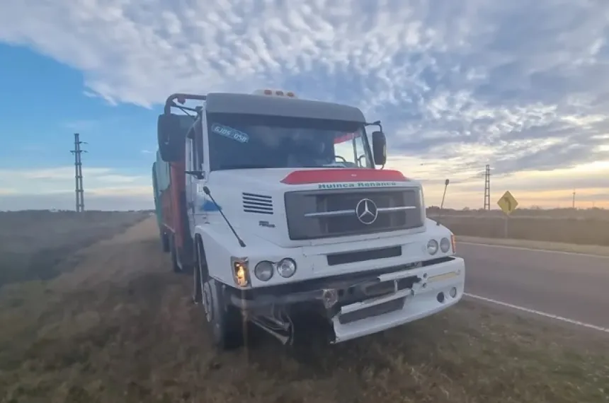 Un micro y un camión embistieron animales sueltos en la ruta provincial