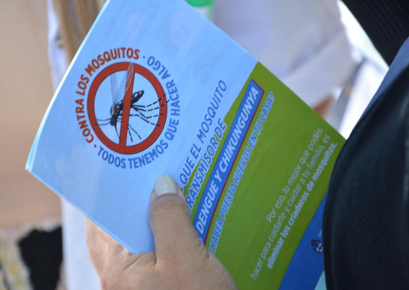 Confirman otros dos casos autóctonos de dengue en General Pico El