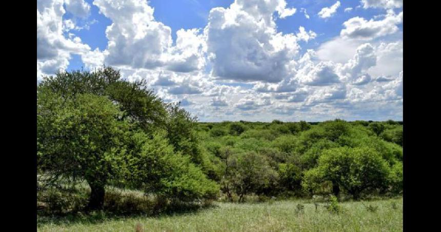 No habraacute expropiacioacuten de tierras para la creacioacuten del Parque El Caldenal