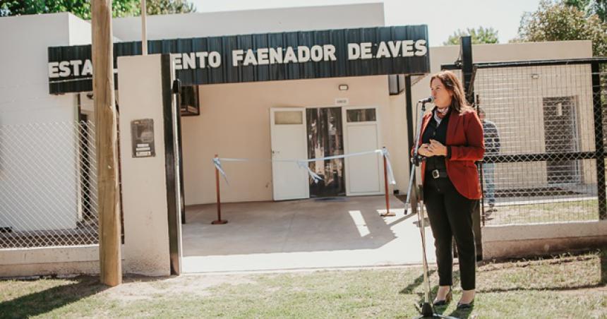 Inauguraron Planta Faenadora de Aves en Pico