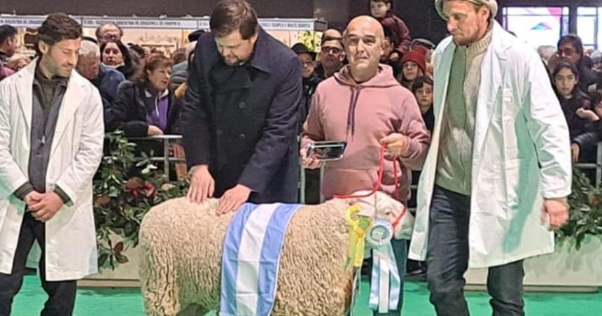 Pampinta pampeano ganoacute el premio Gran Campeoacuten Macho en la Rural de Palermo