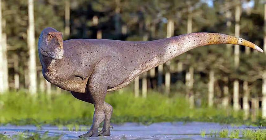 Hallazgo en la Patagonia argentina- descubrieron una nueva especie de dinosaurio carniacutevoro