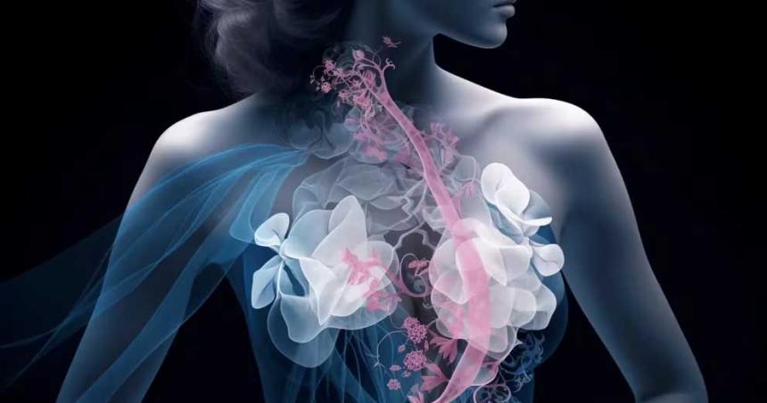 Mamografiacuteas anuales autoexamen y diagnoacutestico temprano las claves contra el caacutencer de mama