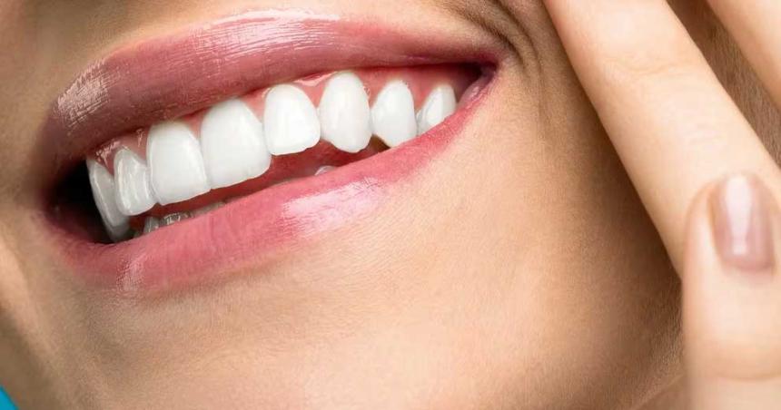 Coacutemo es la terapia geneacutetica que la ciencia estudia para la regeneracioacuten dental