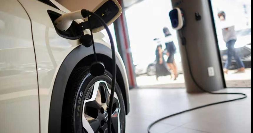 Aacuterboles cargadores de bateriacutea una solucioacuten para los autos eleacutectricos en las ciudades