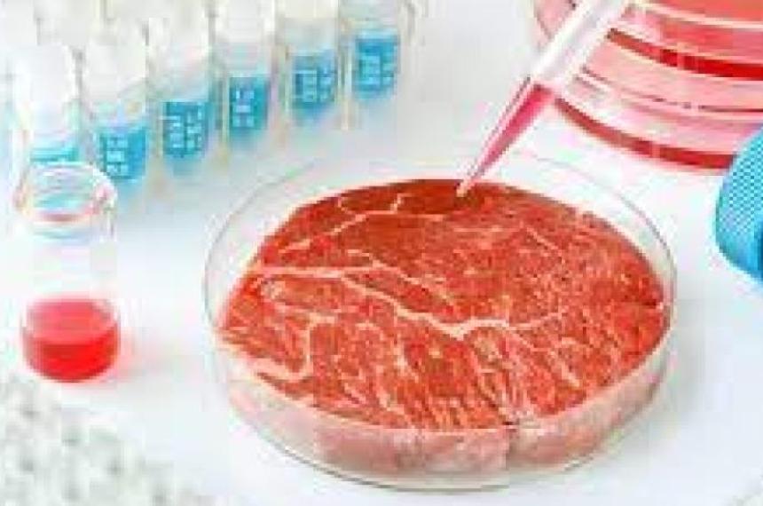 iquestComeriacuteas carne hecha en un laboratorio
