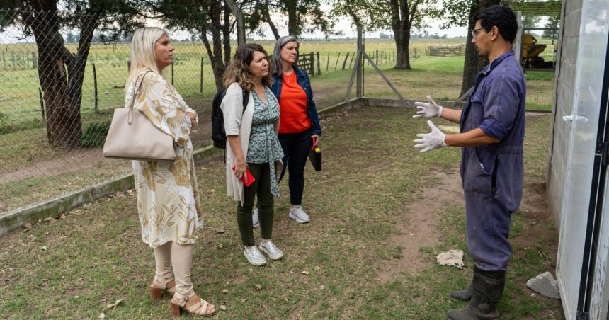 Produccioacuten monitoreoacute proyectos de Ciencia y Tecnologiacutea con desarrollo en General Pico