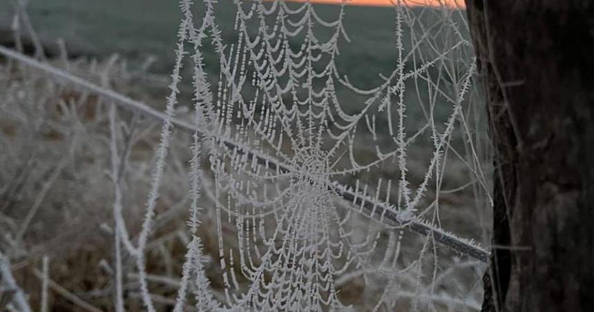 La artiacutestica tela de arantildea que dibujoacute la helada de La Pampa