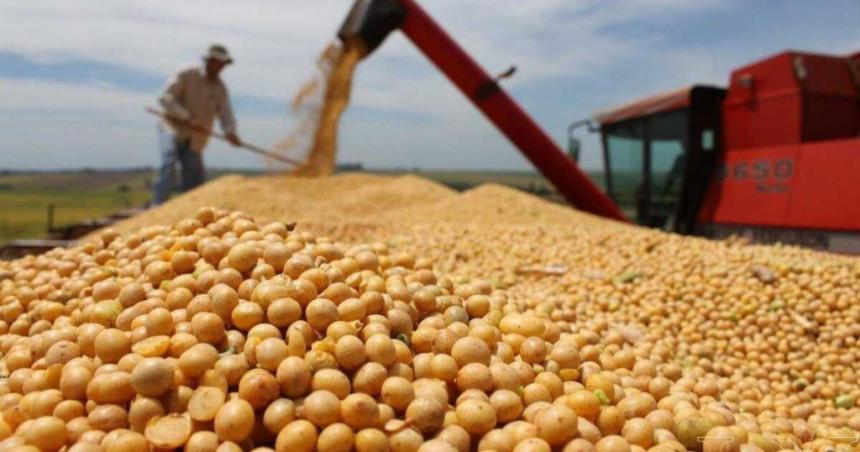 La venta de soja cayoacute 45-en-porciento- en junio