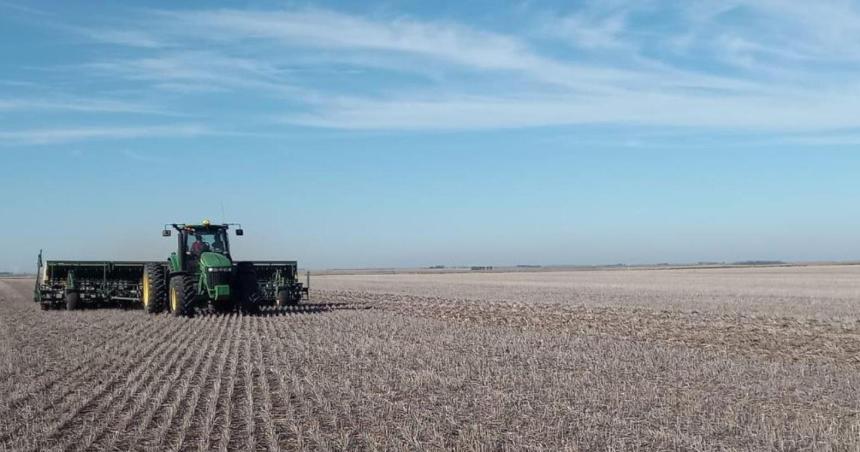 iquestCuaacutel es la fecha liacutemite para sembrar trigo en La Pampa