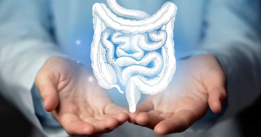 Cuidar el intestino- consejos para mantenerlo saludable y prevenir enfermedades