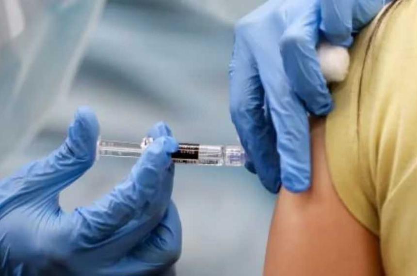 Maacutes cerca de una vacuna universal contra la gripe que brinde proteccioacuten toda la vida