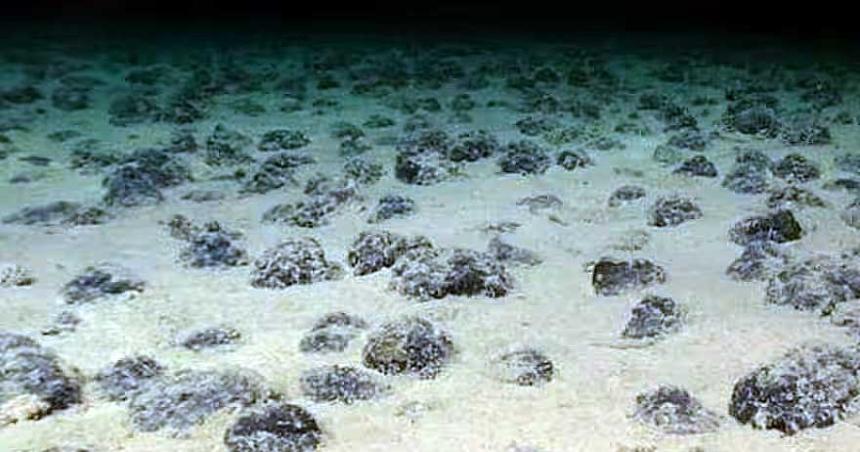 Encontraron oxiacutegeno negro en las profundidades del oceacuteano Paciacutefico