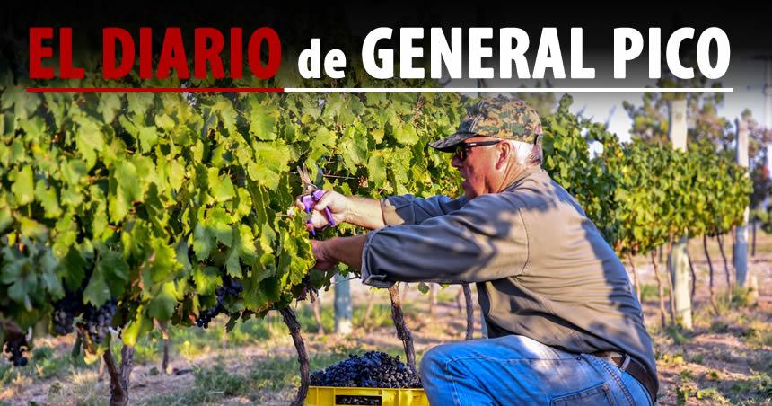 Vinos de La Pampa- anunciaron jornada de vinculacioacuten comercial