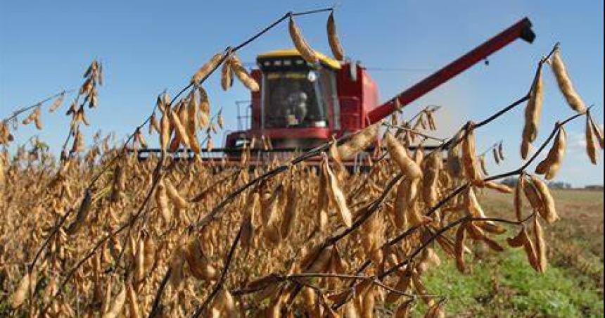 Charla sobre Soberaniacutea alimentaria en Agronomiacutea 