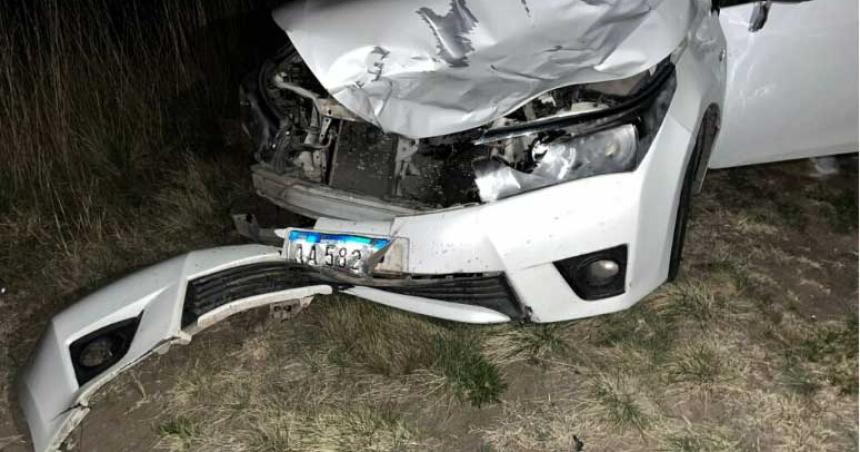 Un auto impactoacute contra un ciervo en la Ruta Nacional 152