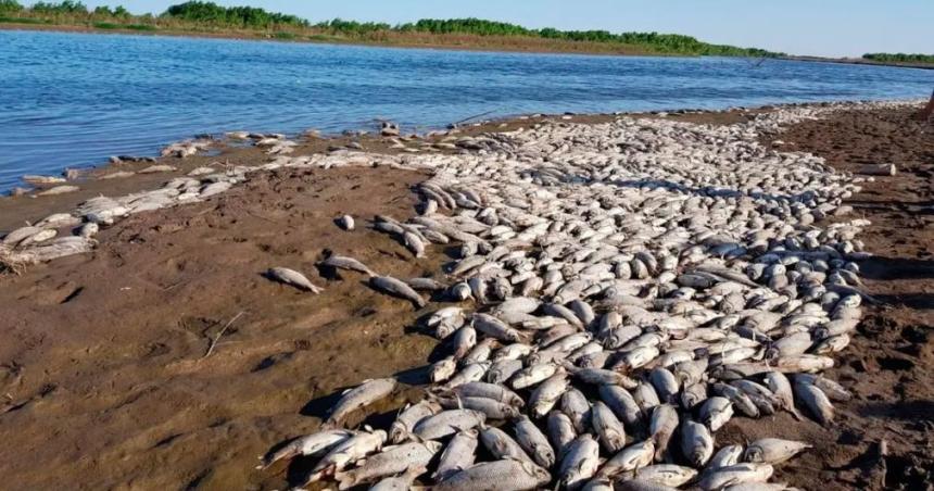 El Gobierno de Tucumaacuten le aplicoacute una millonaria multa a Coca-Cola por contaminar el Riacuteo Saliacute