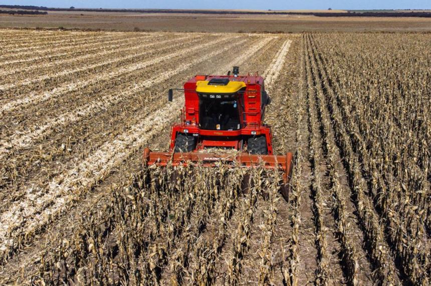 La Pampa- se acentuacutea la falta de lluvias y las perdidas econoacutemicas 