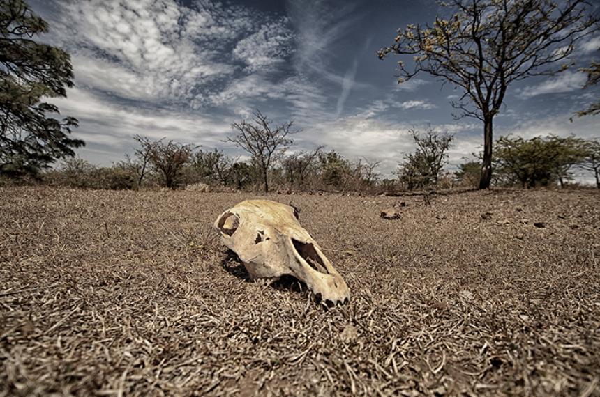 Sin naturaleza no hay humanidad