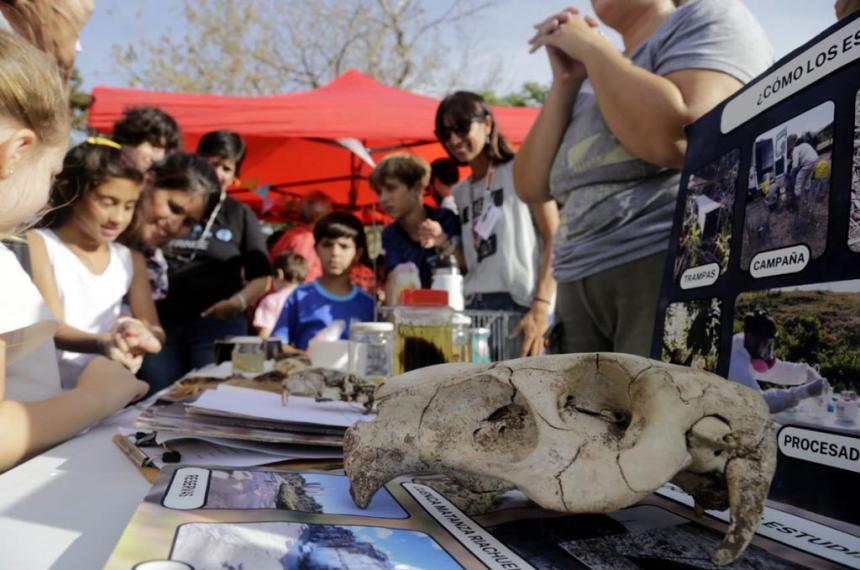 Festival en defensa de la Ciencia