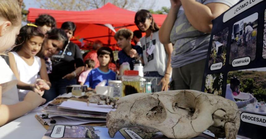 Festival en defensa de la Ciencia