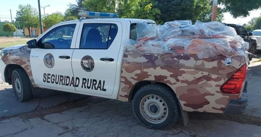 Secuestraron 89 costillares en la Ruta Nacional 152