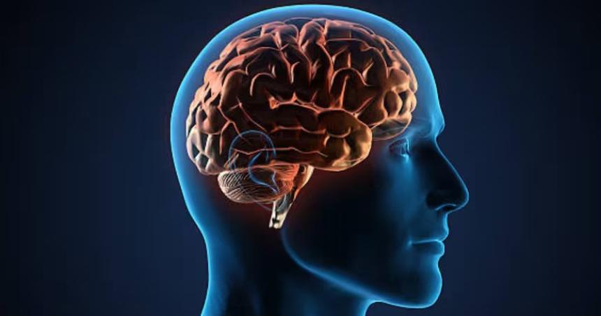 La actividad que moviliza al cerebro y genera conexiones neuronales que ayuda a sanar traumas