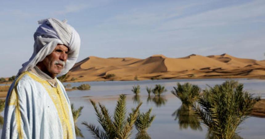 Lluvias torrenciales devuelven la vida al desierto del Saacutehara en Marruecos