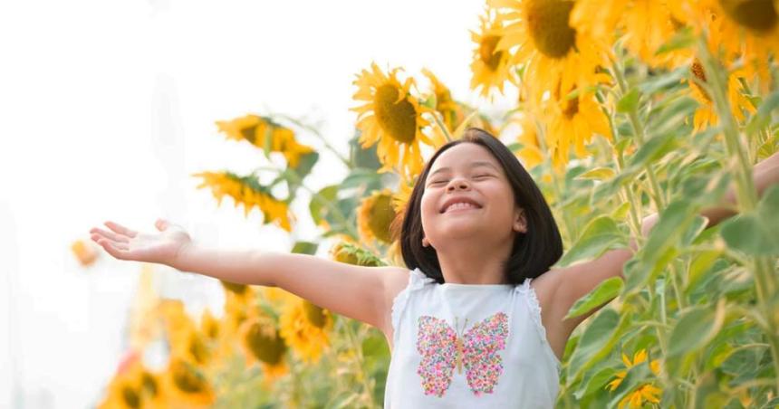 Cuaacuteles son las 5 palabras que maacutes utilizan las personas felices