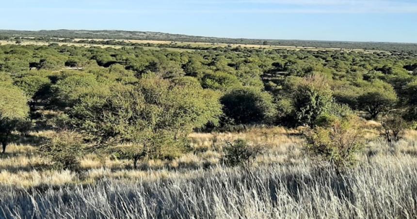 La Pampa pide que Nacioacuten no elimine el Fondo de los Bosques