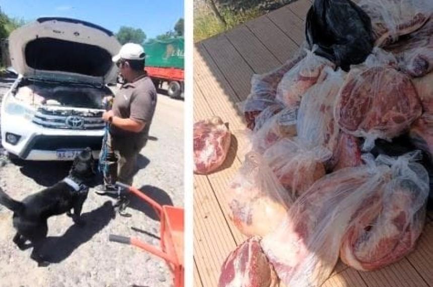 Secuestran 190 kilos de carne que iban de 25 de Mayo a Catriel