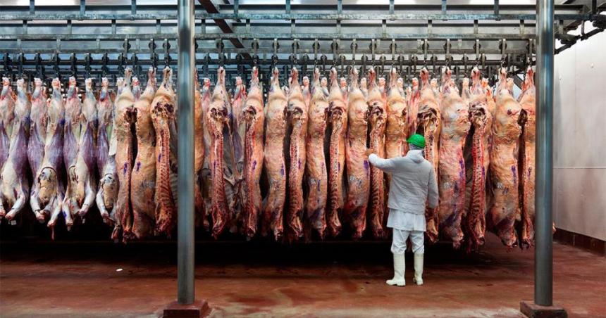 Reacutecord histoacuterico en exportaciones de carne vacuna- Argentina superoacute los USD 2100 millones en 2024