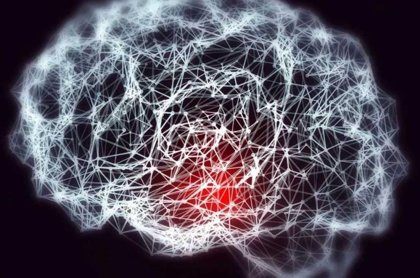 Cientiacuteficos lograron rejuvenecer neuronas del cerebro por primera vez