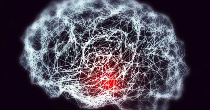 Cientiacuteficos lograron rejuvenecer neuronas del cerebro por primera vez