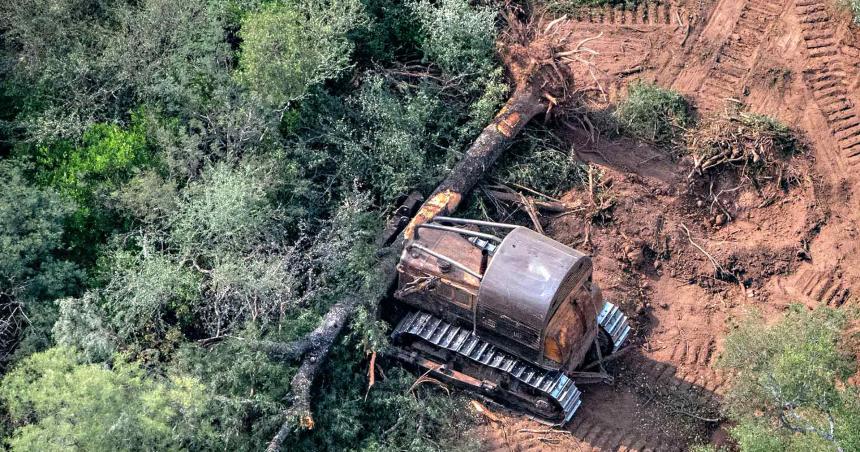 iquestA Argentina le importa la conservacioacuten de la biodiversidad