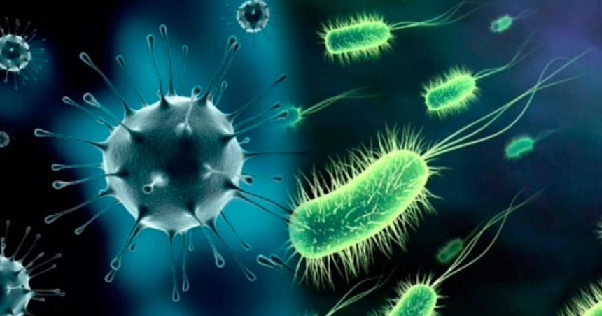 Estas son las ocho bacterias maacutes peligrosas del mundo