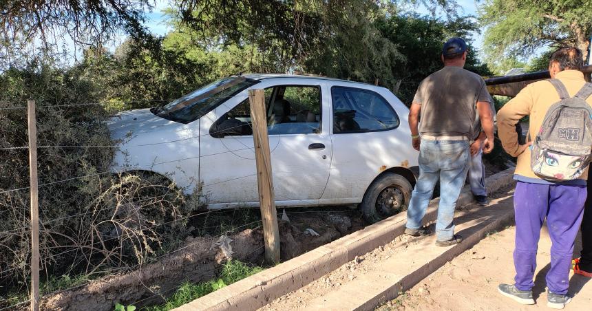 Agarroacute una piedra rompioacute la direccioacuten y quedoacute a centiacutemetros de una planta