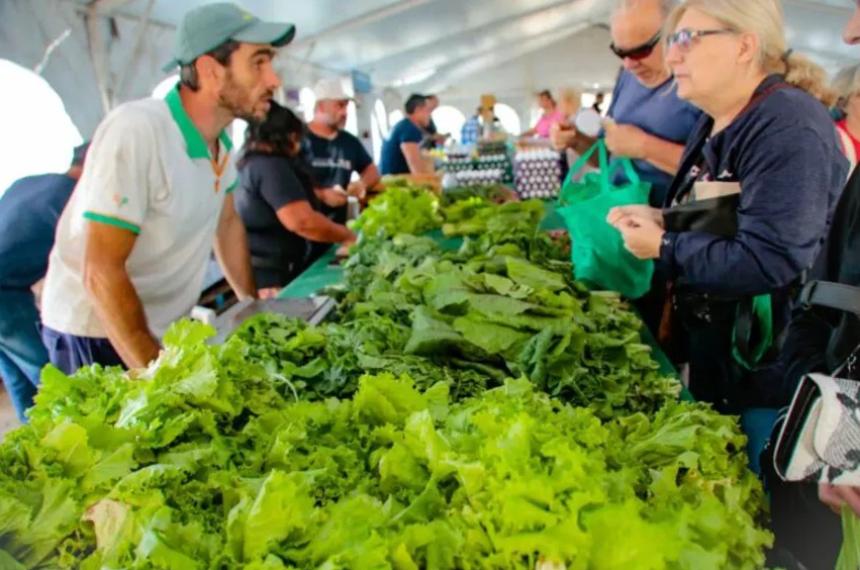 Este saacutebado continuacutean las ofertas en el Mercado Municipal