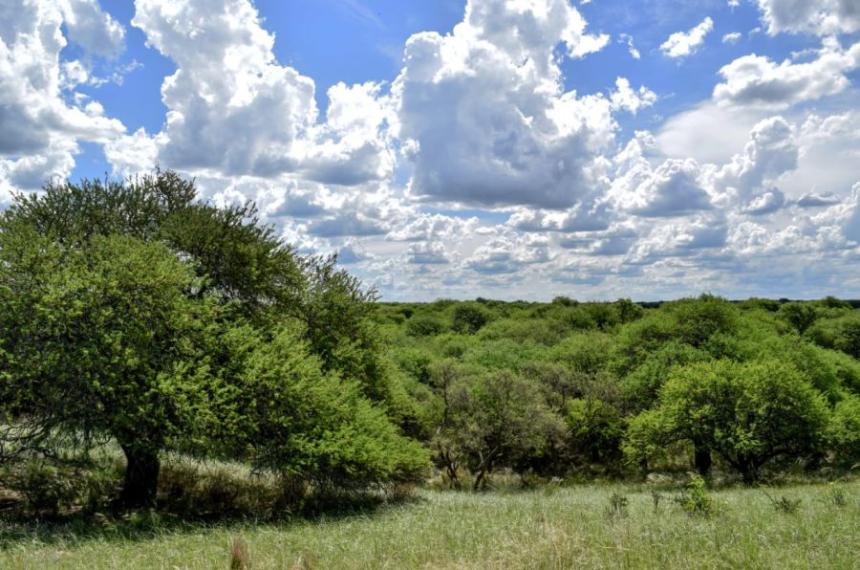 El Poder Judicial implementaraacute un plan de cuidado del ambiente