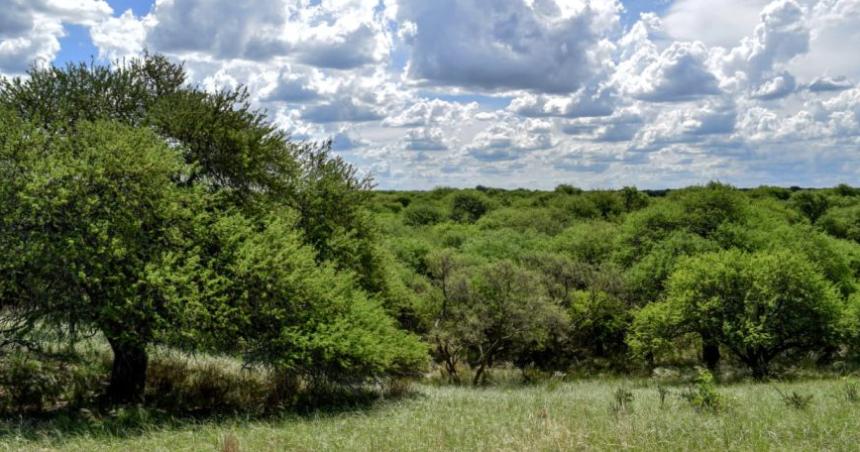 El Poder Judicial implementaraacute un plan de cuidado del ambiente