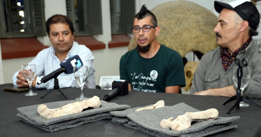 Presentaron restos foacutesiles de un oso perezoso que vivioacute en La Pampa hace unos 5 millones de antildeos