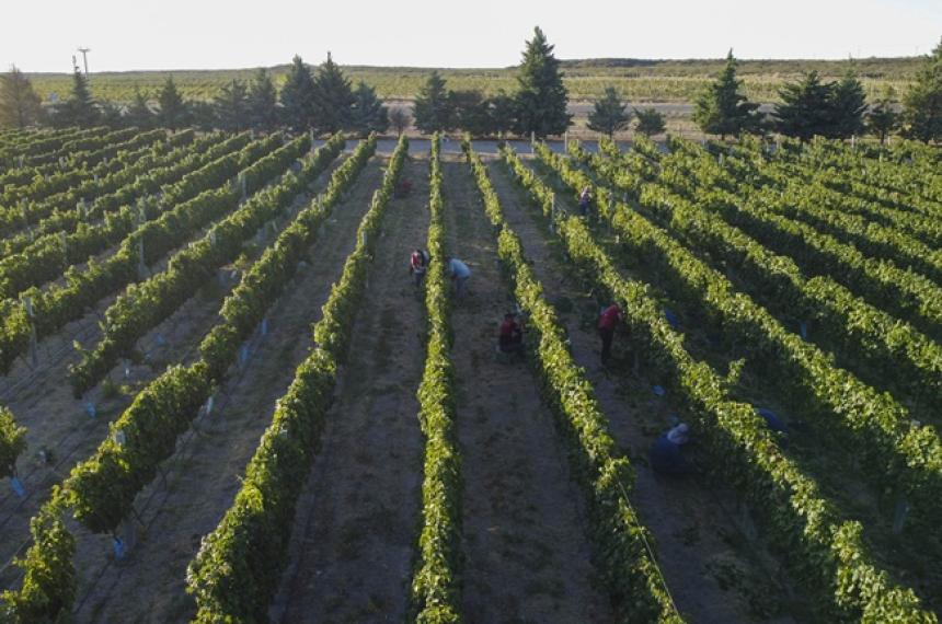 La Pampa sumaraacute 500 hectaacutereas bajo riego en Casa de Piedra