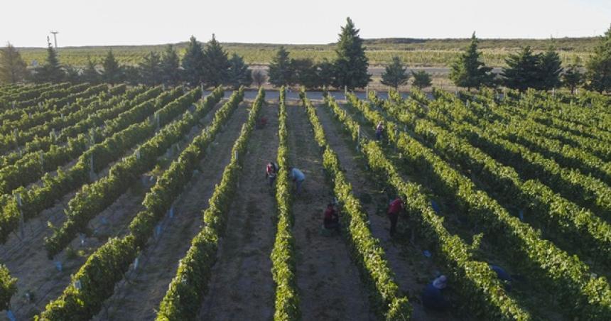 La Pampa sumaraacute 500 hectaacutereas bajo riego en Casa de Piedra