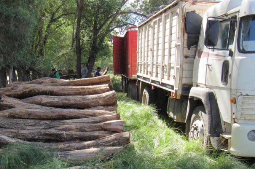 Bosques- detectan incumplimientos y multan por maacutes de 22 millones