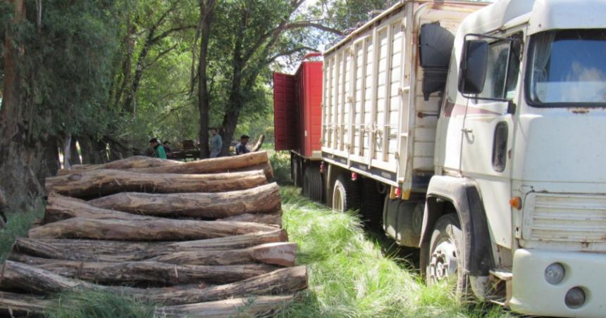 Bosques- detectan incumplimientos y multan por maacutes de 22 millones