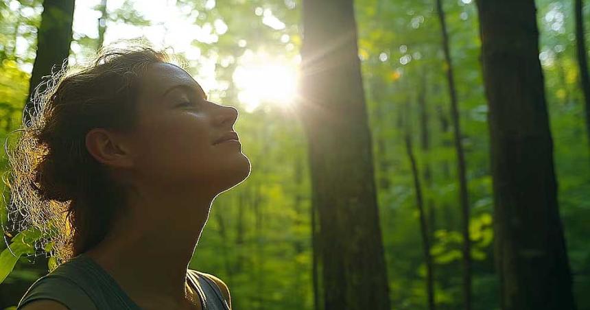 Coacutemo los sonidos del traacutefico aumentan el estreacutes y la ansiedad y los de la naturaleza los reducen