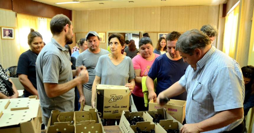 Entregaron ponedoras a productores de Larroudeacute