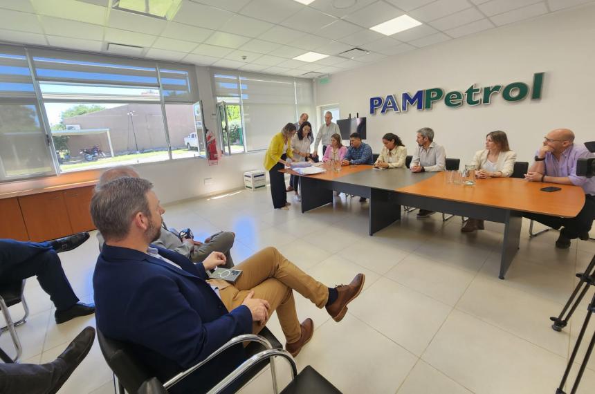 Empresa china busca asociarse con PAMPetrol para construir el Parque Solar de Pico