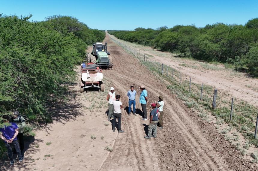 Trabajos intensos para la limpieza de picadas cortafuego